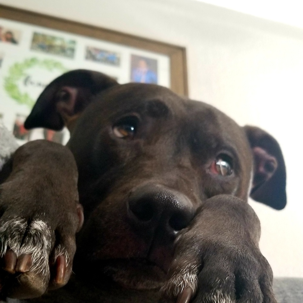 Meet your Posher, Mary